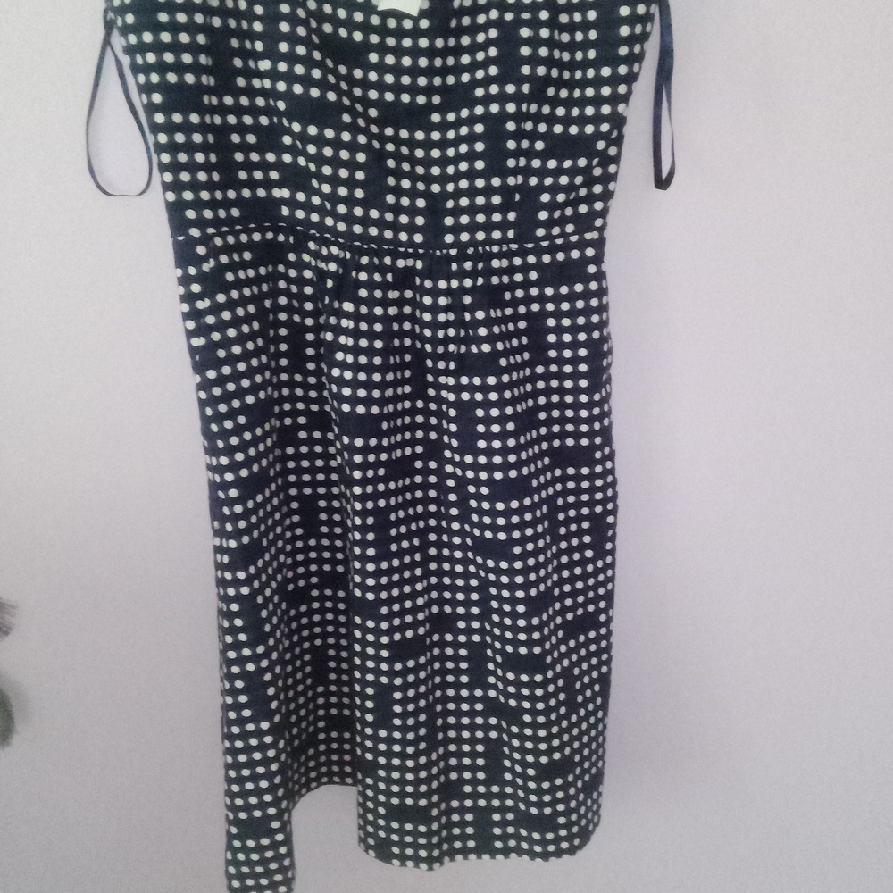 Classic Gap Blue and White Polka Dot Women’s Dress